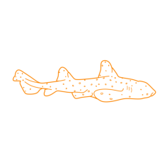 Animals Sharks Horn Shark Stencil Svg Vector, Free Vectors File